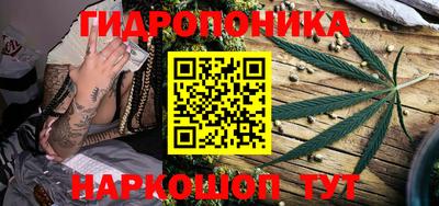 гашиш Гатчина