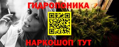 винт Гай