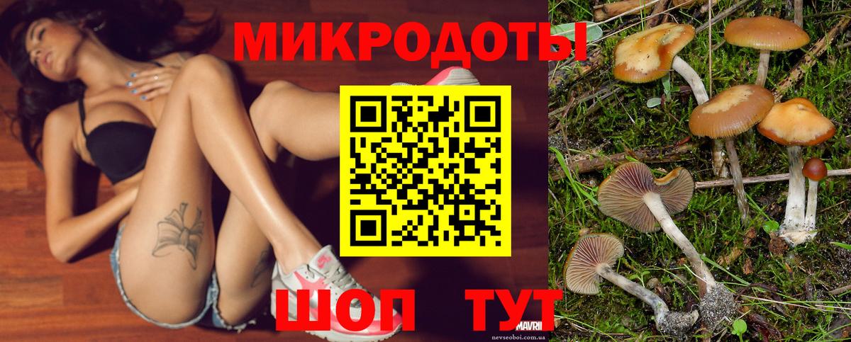 Псилоцибиновые грибы мухоморы  Псилоцибиновые грибы прущие грибы  Вход с VPN  Канаш 