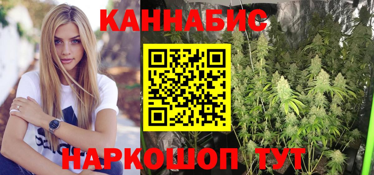 Канабис индика Канаш